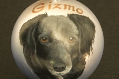 DSC02785-Gizmo